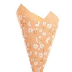 Cello Regal Pro 65mic Daisy Daze Nectar Pk100 (50x70cm)