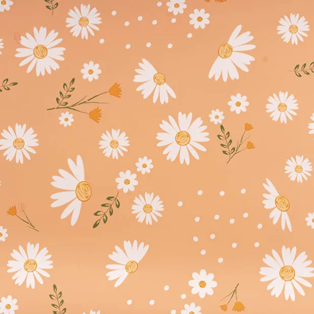 Cello Regal Pro 65mic Daisy Daze Nectar Pk100 (50x70cm)