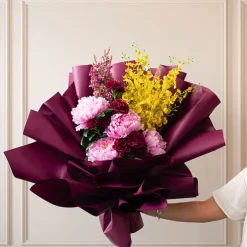 Cello Regal Pro 65mic Deep Plum (50x70cm) Pack 100