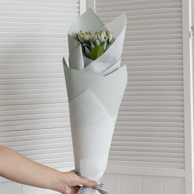 Cello Regal Pro 65mic Deep Sage (50x70cm) Pack 100