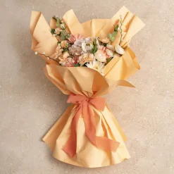 Cello Regal Pro 65mic Just Peach Apricot (50x70cm) Pack 100