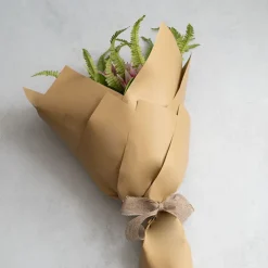 Cello Regal Pro 65mic Mid Brown (50x70cm) Pack 100