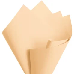 Cello Regal Pro 65mic Natural (50x70cm) Pack 100