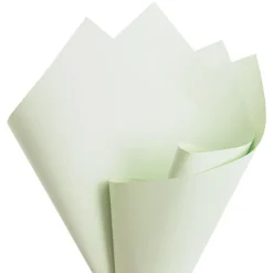 Cello Regal Pro 65mic Pastel Sage (50x70cm) Pack 100