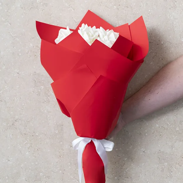 Cello Regal Pro 65mic Red (50x70cm) Pack 100