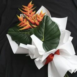 Cello Regal Pro 65mic White (50x70cm) Pack 100