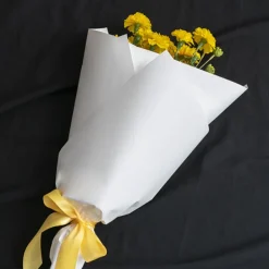 Cello Regal Pro 65mic White (50x70cm) Pack 100