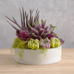 Cement Floral Cylinder Bowl Grey (25x8cmH)