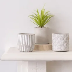 Cement Floral Cylinder Pot Grey (8x8x8cmH)