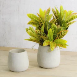 Cement Floral Egg Cup Round Pot Grey (14Dx14cmH)