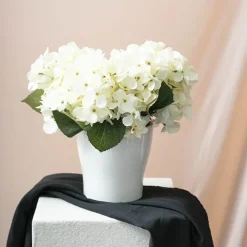 Ceramic Bondi Bravo Concial Pot White (16Dx16cmH)