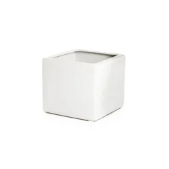 Ceramic Bondi Cube Succulents White (8x8x8cmH)