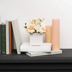 Ceramic Bondi Cube Succulents White (8x8x8cmH)