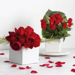 Ceramic Bondi Cube White (13x13x12cmH)