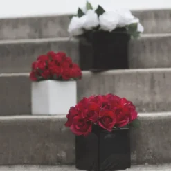 Ceramic Bondi Cube White (18x18x14cmH)