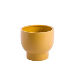 Ceramic Buffalo Pot Planter Matte Mango Mojito 15.5cmx14cm