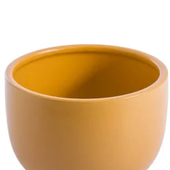 Ceramic Buffalo Pot Planter Matte Mango Mojito 15.5cmx14cm