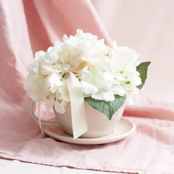 Ceramic Cappuccino Pot & Plate Gloss Nude (15Dx10cmH)