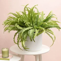 Ceramic Cylinder Dan Plant Pot Matte Light Grey (22x22cmH)