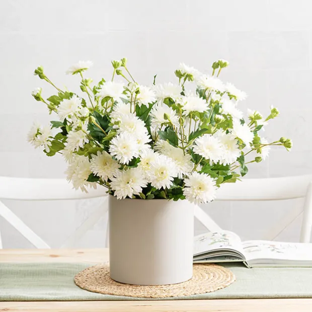 Ceramic Cylinder Dan Plant Pot Matte Light Grey (20x20cmH)