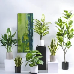 Ceramic Cylinder Dan Plant Pot Matte Black (18x18cmH)