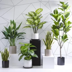 Ceramic Cylinder Dan Plant Pot Matte White (18x18cmH)