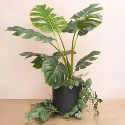 Ceramic Cylinder Dan Plant Pot Matte Black (20x20cmH)