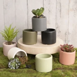 Ceramic Cylinder Pot Mini Satin Matte White (8x7cmH)