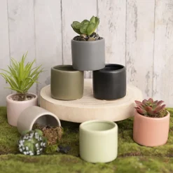Ceramic Cylinder Pot Mini Satin Matte Sage (8x7cmH)