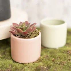 Ceramic Cylinder Pot Mini Satin Matte Coral (8x7cmH)