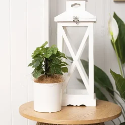 Ceramic Cylinder Pot Satin w/ Drainage Hole White 12x12cmH