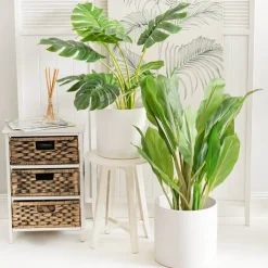 Ceramic Cylinder Pot Satin Matte White (25Dx24cmH)