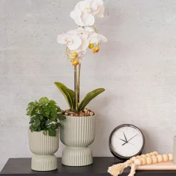 Ceramic Cyprus Egg Cup Vase Matte Sage (12Dx16cmH)