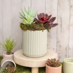 Ceramic Cyprus Vase Matte Sage (14DX15cmH)