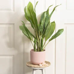 Ceramic Cyprus Vase Matte Blush Pink (22.5DX20cmH)