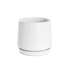 Ceramic Loreto Belly Pot & Plate Matte White (15x14cmH)