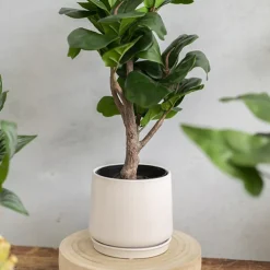 Ceramic Loreto Belly Pot & Plate Matte White (15x14cmH)