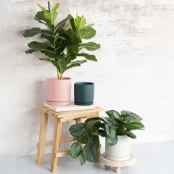 Ceramic Loreto Plant Pot & Plate White Set 2 (18Dx18.5cmH)