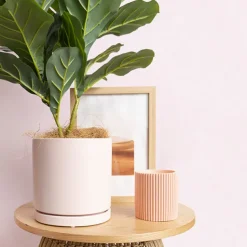 Ceramic Loreto Plant Pot & Plate Matte Pink Sand (15Dx15cmH)