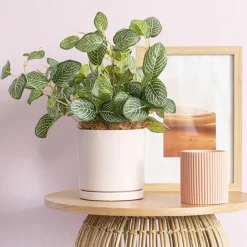 Ceramic Loreto Plant Pot & Plate Matte Pink Sand (15Dx15cmH)