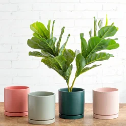 Ceramic Loreto Plant Pot & Plate Pink Sand (18DX18.5cmH)