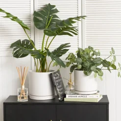 Ceramic Loreto Plant Pot & Plate Matte White (21.5Dx21.5cmH)