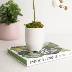 Ceramic Orchid Pot Small White (9.5cmDx11cmH)