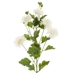 Chrysanthemum x 7 Head Spray White (83cmH)
