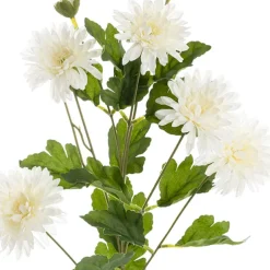 Chrysanthemum x 7 Head Spray White (83cmH)