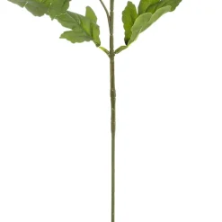 Chrysanthemum x 7 Head Spray White (83cmH)