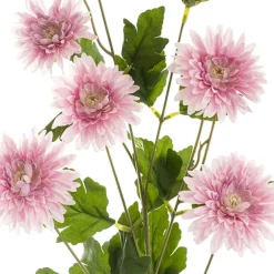 Chrysanthemum x 7 Head Spray Soft Pink (83cmH)