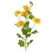 Chrysanthemum x 7 Head Spray Yellow (83cmH)