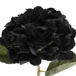 Claire Hydrangea Short Stem Black (52cmH)