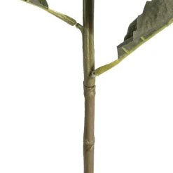 Claire Hydrangea Short Stem Black (52cmH)